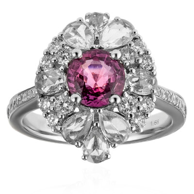 Gouden ring met een roze saffier (CIRARI)