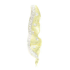 Zilveren hanger met diamanten