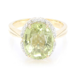 Gouden ring met een Paraiba toermalijn (AMAYANI)