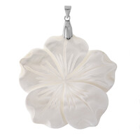 Zilveren hanger met een parelmoer