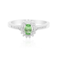 Zilveren ring met een tsavoriet