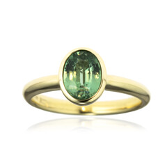 Gouden ring met een Munt Kyaniet (CUSTODANA)