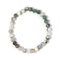 Armband met Boom-Jaspisen