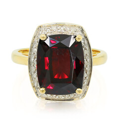 Gouden ring met een spessartien (AMAYANI)