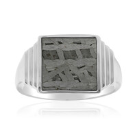 Zilveren ring met een Aletai meteoriet