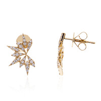 Gouden oorbellen met Loepzuivere (F) Diamanten (LUCENT DIAMONDS)