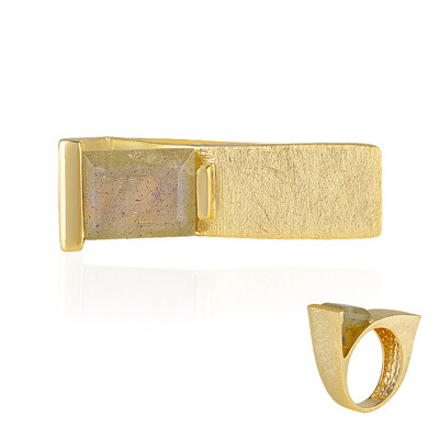 Zilveren ring met een labradoriet (MONOSONO COLLECTION)