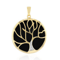 Zilveren hanger met een zwarte onyx