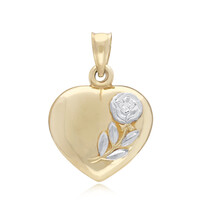 Gouden hanger