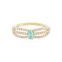 Gouden ring met een Braziliaanse Paraiba toermalijn (AMAYANI)