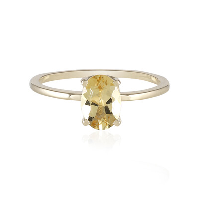 Gouden ring met een gouden beril