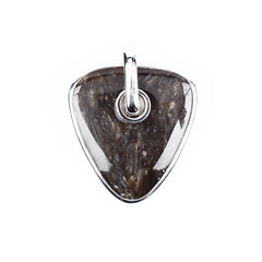 Zilveren hanger met een Versteend hout