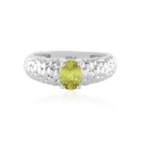 Zilveren ring met een Sfeen (SAELOCANA)