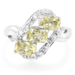 Zilveren ring met xia-apetieten