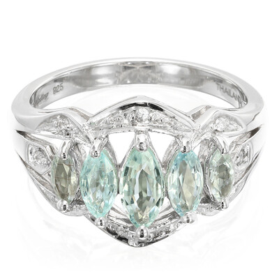 Zilveren ring met een Paraiba toermalijn