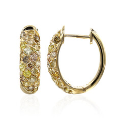 Gouden oorbellen met SI2 Fancy Diamanten (CIRARI)