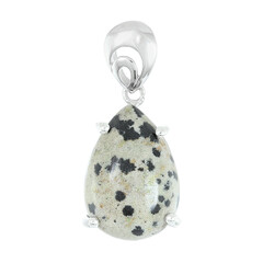 Zilveren hanger met een Dalmatiër Jaspis