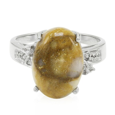 Zilveren ring met een dinosaurus kwarts