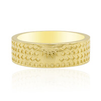Zilveren ring