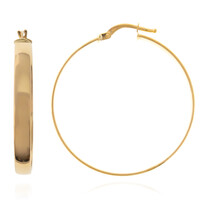 Gouden oorbellen