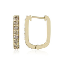 Gouden oorbellen met SI1 Champagne Diamanten