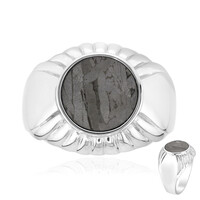 Zilveren ring met een Aletai meteoriet