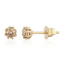 Gouden oorbellen met I2 Champagne Diamanten (de Melo)