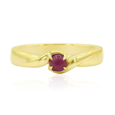 Gouden ring met een Groenland Robijn