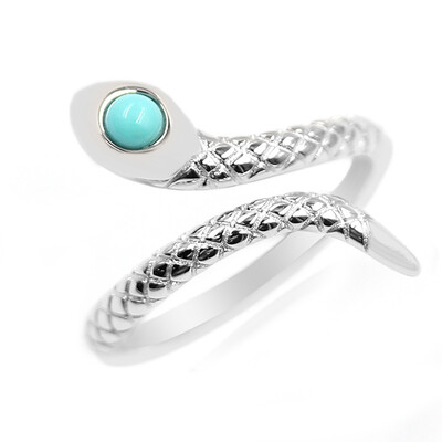 Zilveren ring met een Campitos Turkoois (Anne Bever)