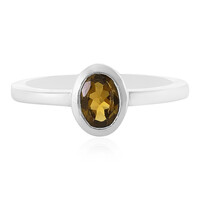 Zilveren ring met een toermalijn
