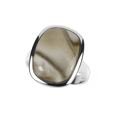Zilveren ring met een vuursteen (dagen)