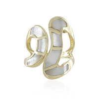 Gouden ring met een parelmoer (de Melo)