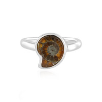 Zilveren ring met een ammoniet