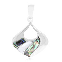 Zilveren hanger met een Abalone schelp