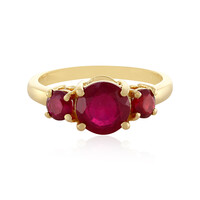 Gouden ring met een Madagaskar Robijn