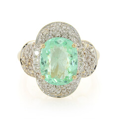 Gouden ring met een Nigeriaanse Paraiba Toermalijn (AMAYANI)