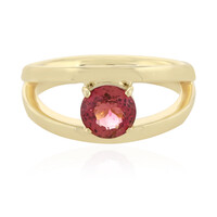 Gouden ring met een Nigeriaanse Neon Toermalijn (AMAYANI)