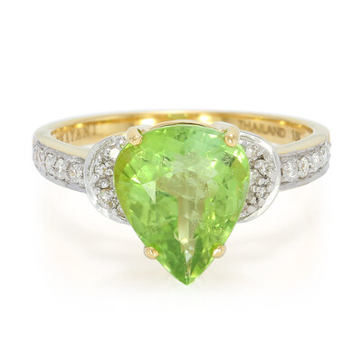 Gouden ring met een Paraiba toermalijn (AMAYANI)