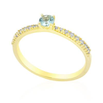 Gouden ring met een Nigeriaanse Paraiba Toermalijn