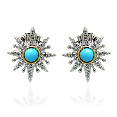 Zilveren oorbellen met Sleeping Beauty Turkooisen (Dallas Prince Designs)