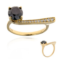 Gouden ring met een zwarte diamant (de Melo)