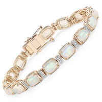 Gouden armband met AAA Welo-opalen (AMAYANI)