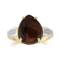 Gouden ring met een vuur agaat