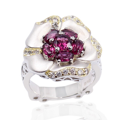 Zilveren ring met een rhodliet (Dallas Prince Designs)