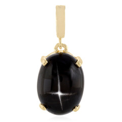 Zilveren hanger met een Indische Ster Diopsied