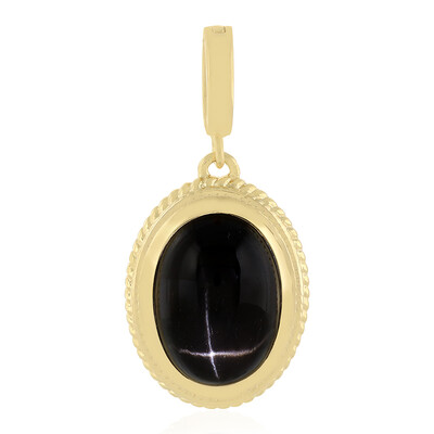 Zilveren hanger met een Indische Ster Diopsied