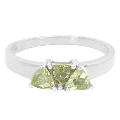 Zilveren ring met xia-apetieten