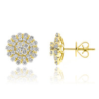 Gouden oorbellen met I1 (H) Diamanten (CIRARI)