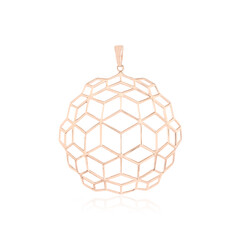Zilveren hanger (SAELOCANA)