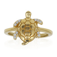 Zilveren ring met zirkonen